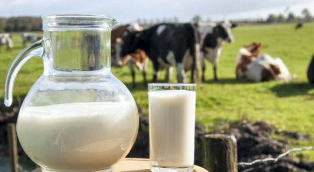 Izdelek brez naslova (1)